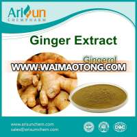 Factory Supply Water Soluble Ginger Extract Powder