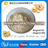 Factory Supply High Quality Ginger Extract Powder