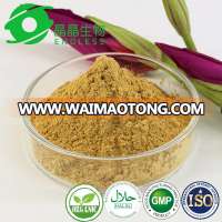 Food grade water-soluble instant ginger powder no residue ginger extract powder for ginger tea